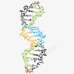 彩色人体DNA结构素材