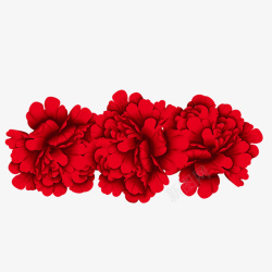 手绘美丽大红色牡丹花朵素材