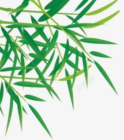 翠绿茂盛竹子素材