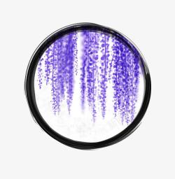 下垂的桉树叶镜花水月中的紫藤高清图片