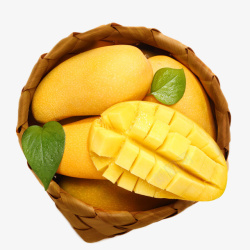 夏季新鲜水果一箩筐芒果素材