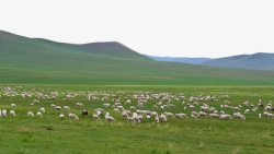 内蒙古景点克什克腾大草原旅游高清图片