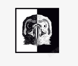 印花的老鹰黑白胸前印花图案矢量图图标高清图片