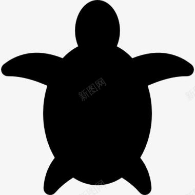 乌龟生日卡海龟图标图标
