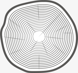 细线描绘的树木年轮素材