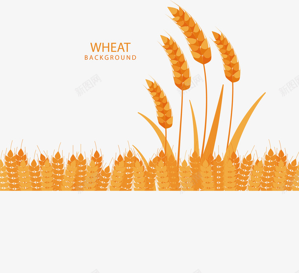 扁平化成熟的小麦png免抠素材_88icon https://88icon.com 小麦 小麦地 矢量png 金色小麦 金色麦田 麦田