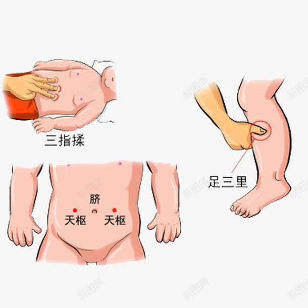 推拿穴位图png免抠素材_88icon https://88icon.com 健康 小儿 小儿推拿 教育 穴位