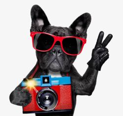 黑白插图卡通照相的小狗图高清图片