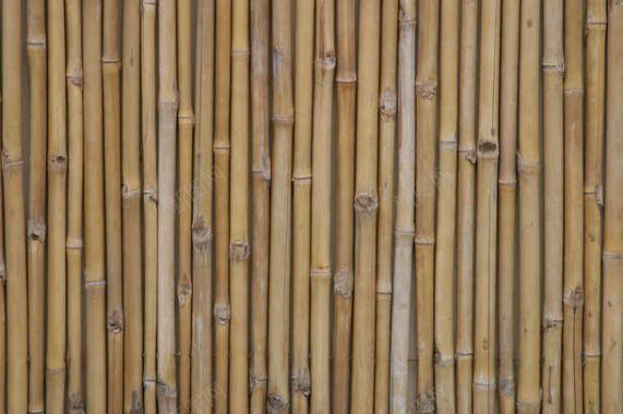 竹子纹理背景背景