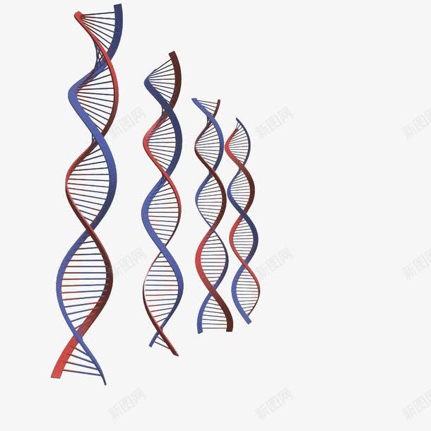 四条DNA分子png免抠素材_88icon https://88icon.com 两色 分子 四条 旋转