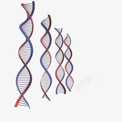 四条DNA分子素材