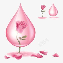 粉色水滴玫瑰精华高清图片