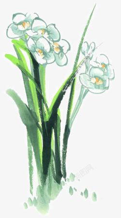 钢笔素描花卉彩墨水仙花高清图片