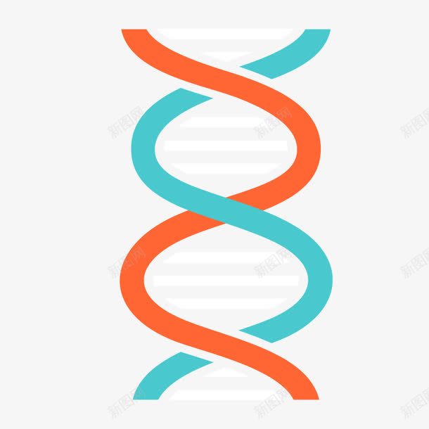 螺旋结构png免抠素材_88icon https://88icon.com DNA 分子结构 生物 研究 科学