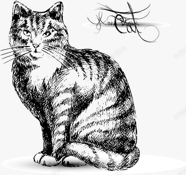 手绘猫咪png免抠素材_88icon https://88icon.com 手绘 清新 猫咪 简洁 素描