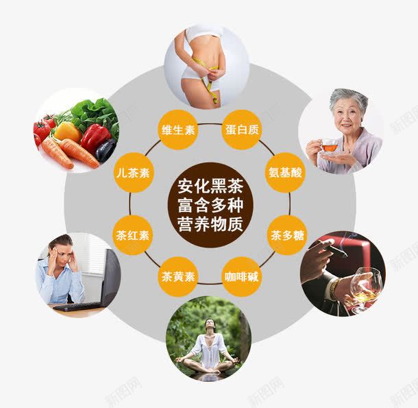 详情页板块png免抠素材_88icon https://88icon.com 功效 直观图 营养价值 详情页