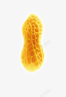 金黄色的食物金黄色的花生高清图片