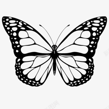 寒食节装饰图案黑色镂空蝴蝶装饰图案图标图标
