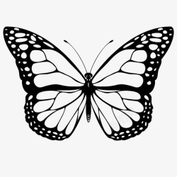 镂空蝴蝶黑色镂空蝴蝶装饰图案图标高清图片