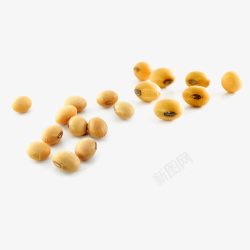 黄色豆子黄豆颗粒高清图片