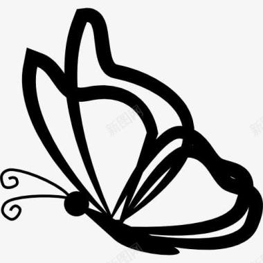 动物素描蝴蝶透明的翅膀从侧面轮廓图标图标