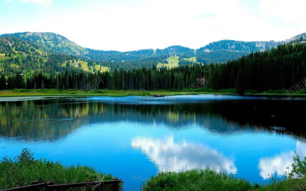 高山湖泊森林草地jpg设计背景_88icon https://88icon.com 森林 湖泊 草地 高山