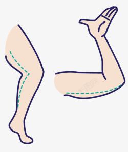 人体胳膊人体局部腿胳膊高清图片