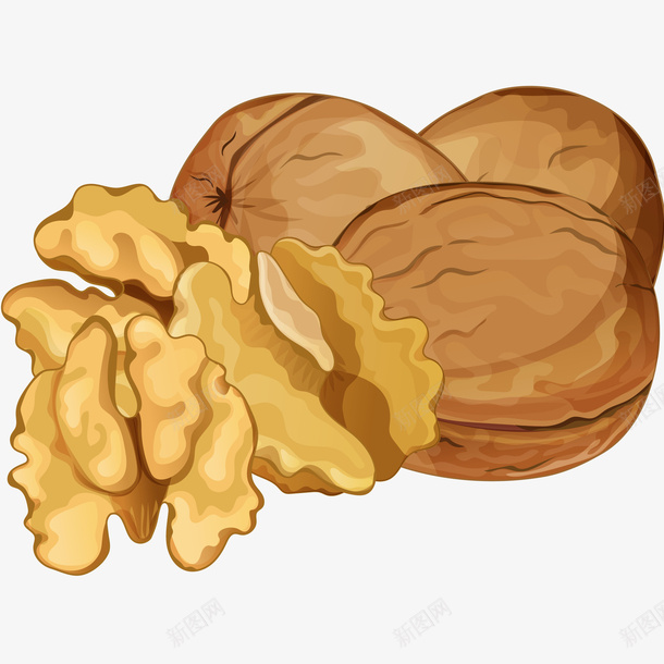 核桃和核桃仁插画png免抠素材_88icon https://88icon.com 休闲食品 核桃仁 核桃和核桃仁矢量插画 秋季养生 营养 零食