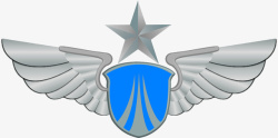 空军庄严肃立的空军标志高清图片