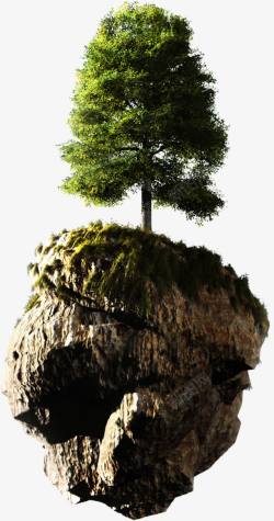 浮空石头上的茂盛大树背景素材