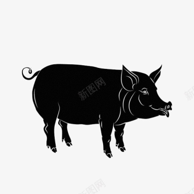 草食性动物手绘黑色的猪图标图标