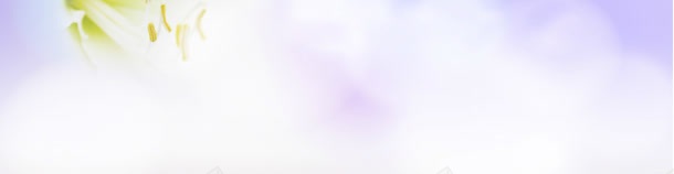 淡紫色jpg设计背景_88icon https://88icon.com 内衣 化妆品 女装背景 女裤 女鞋 海报背景 男装
