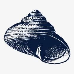 蜗牛壳标签手绘海螺贝壳高清图片