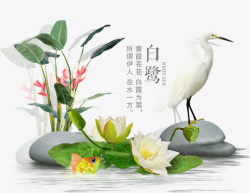 二十四节气白露动物素材