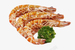 花椰菜新鲜美味斑节虾素材