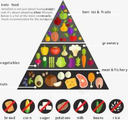 食物链食物金字塔高清图片
