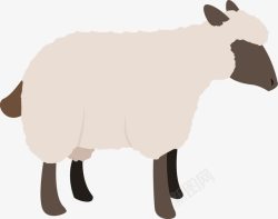 羊品种牲畜卡通山羊高清图片