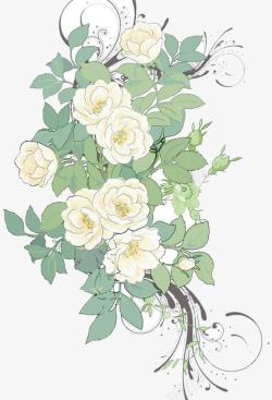 白玫瑰花丛背景素材