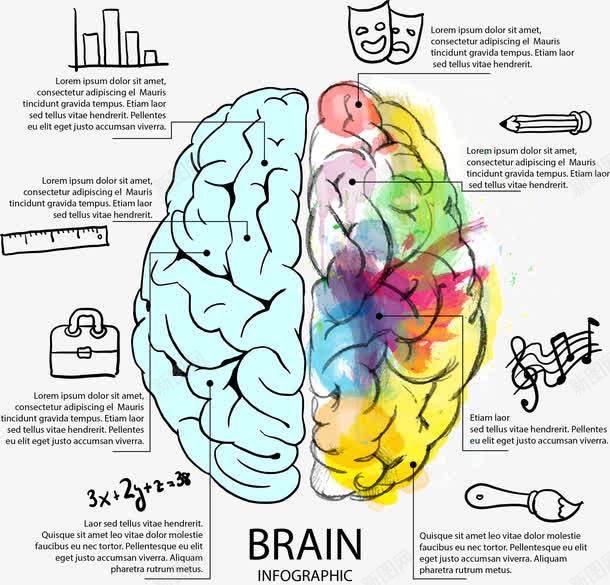 大脑思维导图png免抠素材_88icon https://88icon.com 人脑 创造力 卡通 头脑 头部 思维导图 想象力 脑神经