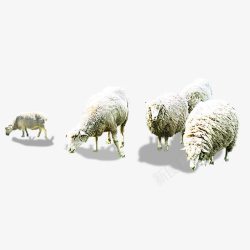 吃草的羊群草原羊群高清图片