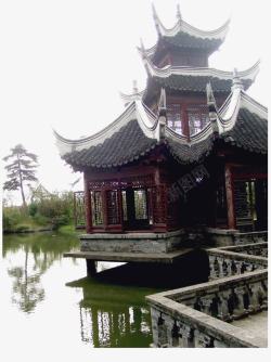 古树名木上海水博园風光高清图片