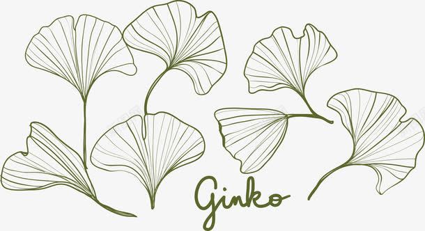 银杏叶png免抠素材_88icon https://88icon.com 叶子 扁平 树叶 水彩 银杏