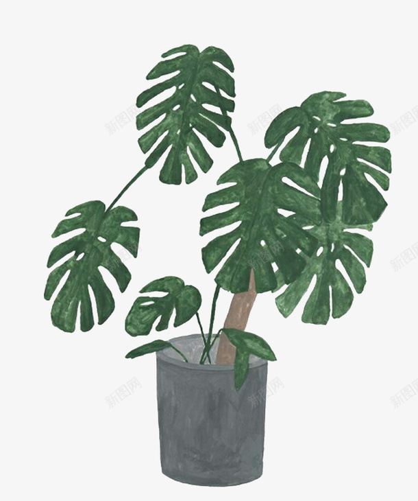 龟背竹齿状叶片png免抠素材_88icon https://88icon.com 叶子 手绘龟背竹 绿色 装饰 齿状 龟背竹