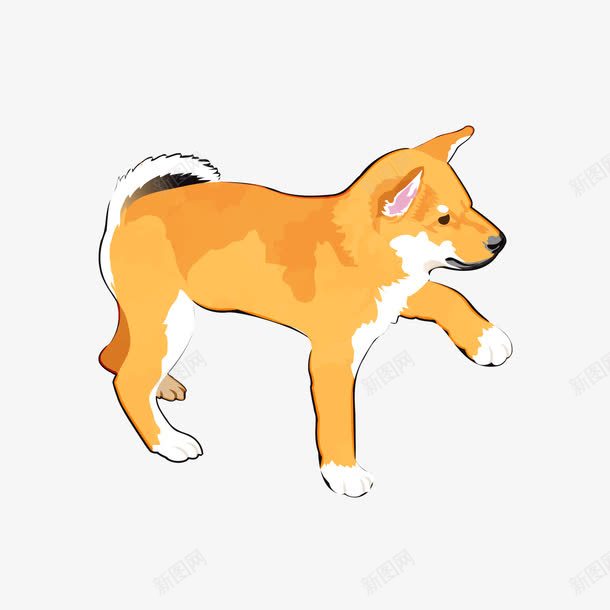 手绘黄色柴犬png免抠素材_88icon https://88icon.com 卡通小狗 卡通柴犬 宠物狗 背景装饰 黄色柴犬