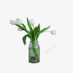 白花绿叶花瓶素材