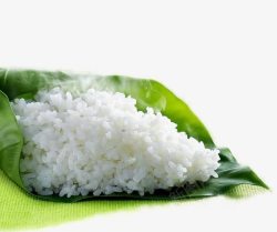 叶子上的白米饭素材