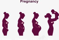 怀孕的宝宝怀孕到诞生宝宝过程高清图片