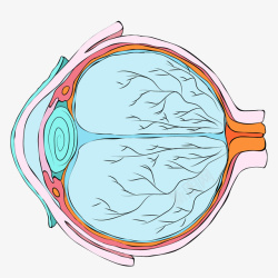 彩色手绘圆弧眼球元素矢量图素材