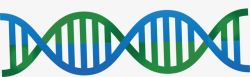 蓝绿色可爱DNA双螺旋图形素材