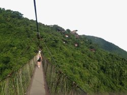 海南三亚旅游三亚热带天堂森林公园高清图片